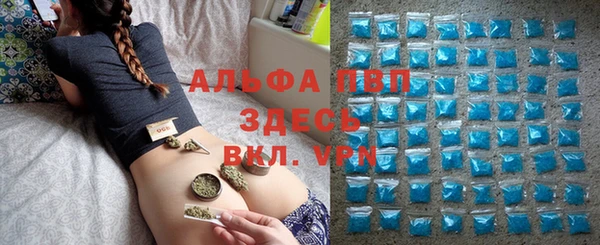 прущие крисы Алзамай