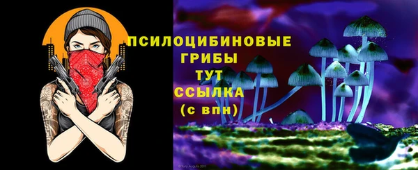 прущие крисы Алзамай